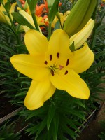 [5587 VH17 Linosa No02.JPG]